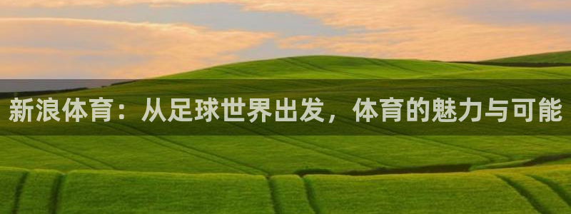 新浪体育：从足球世界出发，体育的魅力与可能
