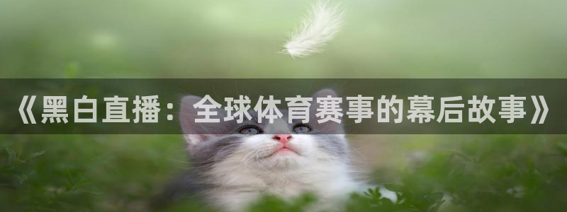 《黑白直播：全球体育赛事的幕后故事》