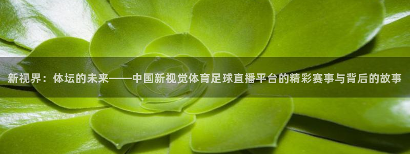 新视界：体坛的未来——中国新视觉体育足球直播平台的精彩赛事与背后的故事