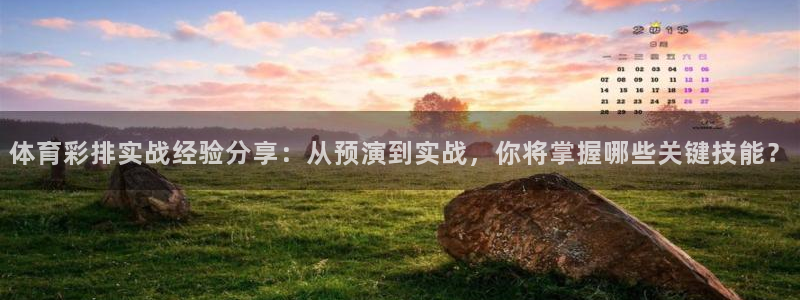体育彩排实战经验分享：从预演到实战，你将掌握哪些关键技能？
