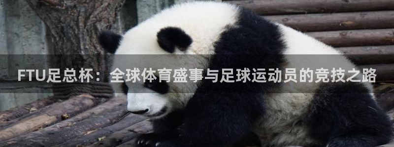 FTU足总杯：全球体育盛事与足球运动员的竞技之路