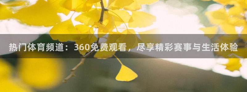 热门体育频道：360免费观看，尽享精彩赛事与生活体验