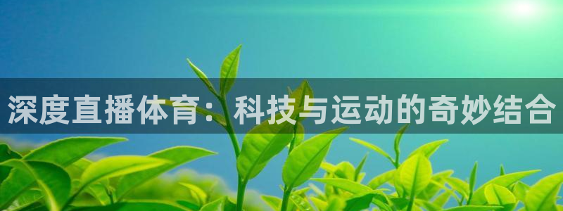 深度直播体育：科技与运动的奇妙结合