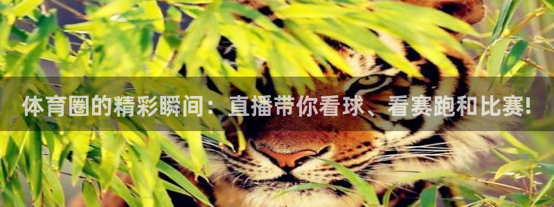 体育圈的精彩瞬间：直播带你看球、看赛跑和比赛!