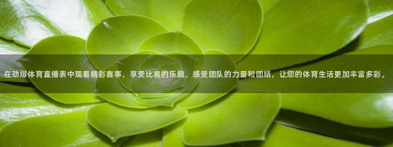 在劲爆体育直播表中观看精彩赛事，享受比赛的乐趣，感受团队的力量和团结，让您的体育生活更加丰富多彩。