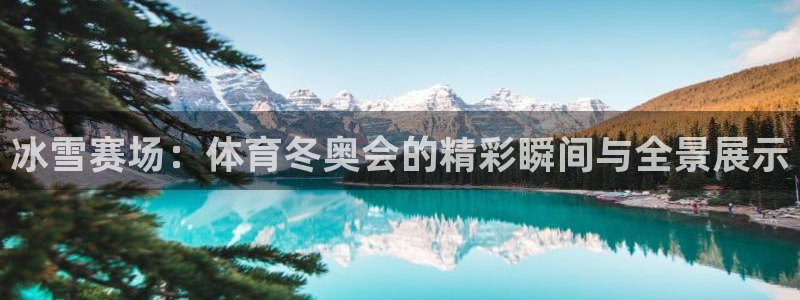 冰雪赛场：体育冬奥会的精彩瞬间与全景展示
