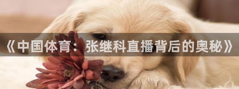 《中国体育：张继科直播背后的奥秘》