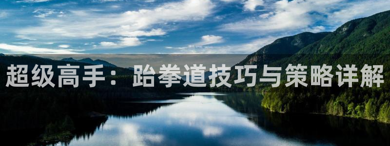 超级高手：跆拳道技巧与策略详解