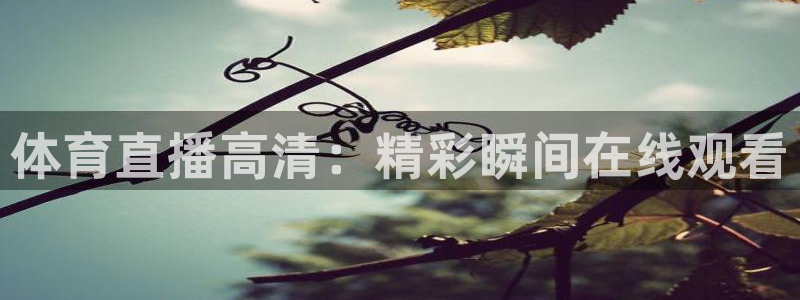 体育直播高清：精彩瞬间在线观看