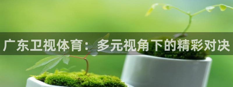 广东卫视体育：多元视角下的精彩对决