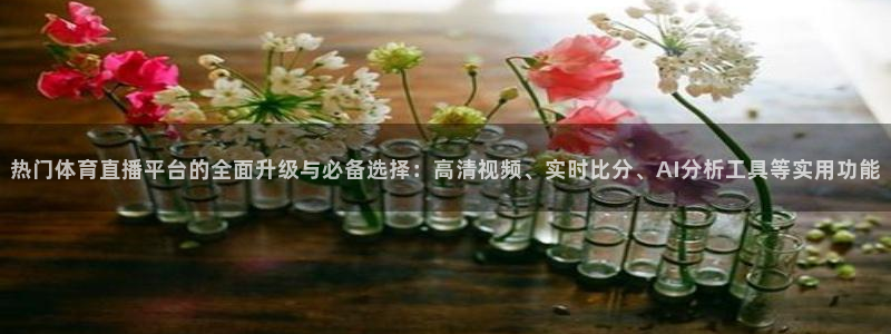 热门体育直播平台的全面升级与必备选择：高清视频、实时比分、AI分析工具等实用功能